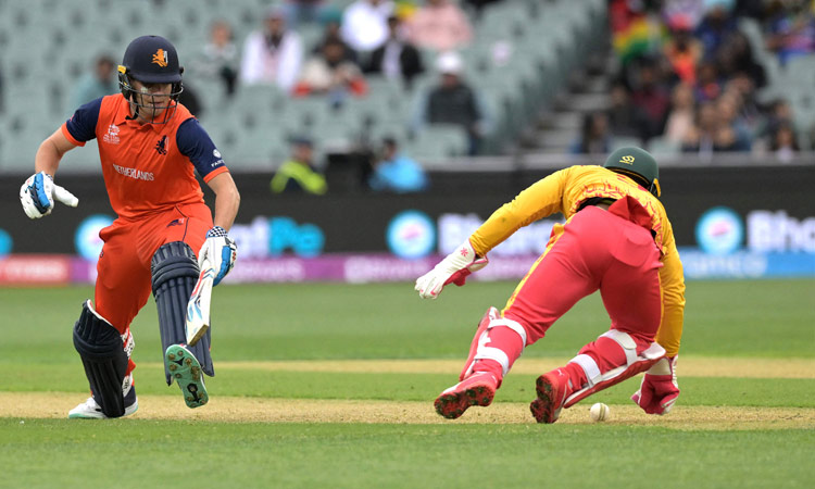 Netherlands defeated Zimbabwe by 5 wickets | ICC Men’s T20 World Cup 2022